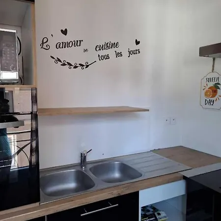 Le Nid Des Choups Esprit Loft 50 M2 * La Bourboule